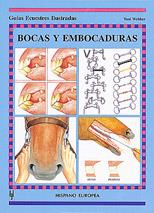 BOCAS EMBOCADURAS GUIA ECUESTRE | 9788425510632 | WEBBER | Llibres Parcir | Llibreria Parcir | Llibreria online de Manresa | Comprar llibres en català i castellà online