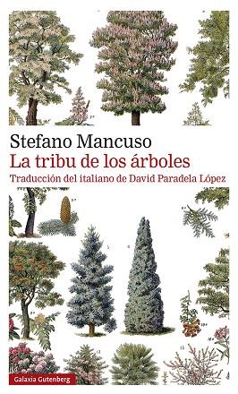 LA TRIBU DE LOS ÁRBOLES | 9788419392510 | MANCUSO, STEFANO | Llibres Parcir | Llibreria Parcir | Llibreria online de Manresa | Comprar llibres en català i castellà online