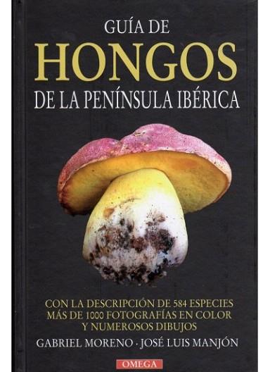 GUIA DE HONGOS DE LA PENINSULA IBERICA | 9788428213493 | MORENO GABRIEL MANJON JOSE LUIS | Llibres Parcir | Llibreria Parcir | Llibreria online de Manresa | Comprar llibres en català i castellà online