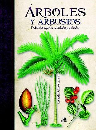 Arboles y Arbustos | 9788466224536 | Pérsico Lamas, Lucrecia | Llibres Parcir | Llibreria Parcir | Llibreria online de Manresa | Comprar llibres en català i castellà online