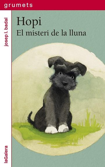 HOPI 1. EL MISTERI DE LA LLUNA | 9788424675271 | BADAL, JOSEP LL | Llibres Parcir | Llibreria Parcir | Llibreria online de Manresa | Comprar llibres en català i castellà online