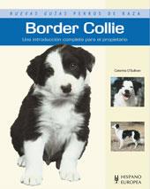 BORDER COLLIE nuevas guias perros de raza | 9788425519475 | O'SULLIVAN CATERINA | Llibres Parcir | Llibreria Parcir | Llibreria online de Manresa | Comprar llibres en català i castellà online