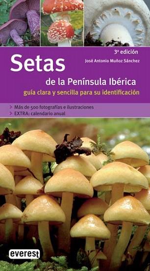 SETAS DE LA PENINSULA IBERICA GUIA CLARA Y SENCILLA | 9788424115050 | JOSE ANTONIO MUÑOZ SANCHE | Llibres Parcir | Llibreria Parcir | Llibreria online de Manresa | Comprar llibres en català i castellà online