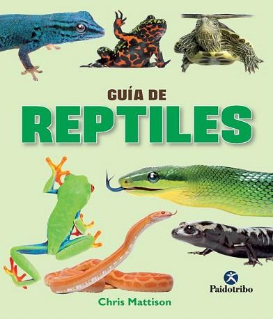 GUÍA DE REPTILES  (COLOR) | 9788499105390 | MATTISON, CHRIS | Llibres Parcir | Llibreria Parcir | Llibreria online de Manresa | Comprar llibres en català i castellà online