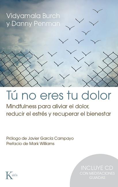 TÚ NO ERES TU DOLOR | 9788499884912 | BURCH, VIDYAMALA / PENMAN, DANNY | Llibres Parcir | Llibreria Parcir | Llibreria online de Manresa | Comprar llibres en català i castellà online