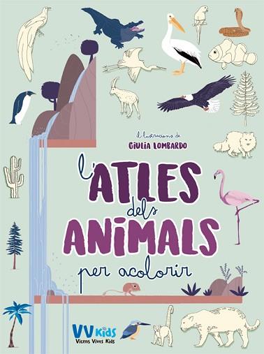 ATLES DELS ANIMALS PER ACOLORIR (VVKIDS) | 9788468243740 | G. LOMBARDO | Llibres Parcir | Llibreria Parcir | Llibreria online de Manresa | Comprar llibres en català i castellà online