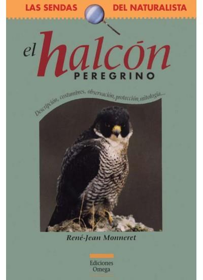 EL HALCON PEREGRINO | 9788428213202 | MONNERET | Llibres Parcir | Librería Parcir | Librería online de Manresa | Comprar libros en catalán y castellano online