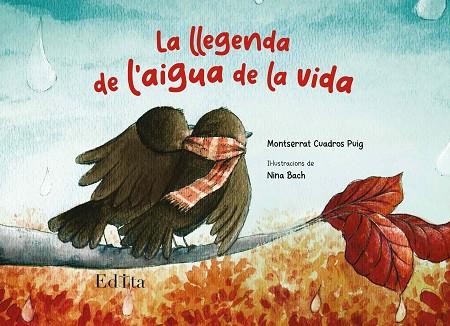 LA LLEGENDA DE L'AIGUA DE LA VIDA | 9788419476128 | CUADROS PUIG, MONTSERRAT | Llibres Parcir | Llibreria Parcir | Llibreria online de Manresa | Comprar llibres en català i castellà online