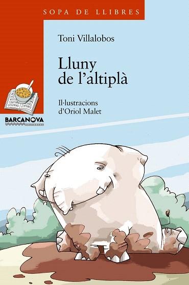 LLUNY DE L ' ALTIPLÀ | 9788448919627 | VILLALOBOS, TONI | Llibres Parcir | Llibreria Parcir | Llibreria online de Manresa | Comprar llibres en català i castellà online