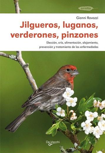 JILGUEROS LUGANOS VERDERONES | 9788431516062 | RAVAZZI | Llibres Parcir | Llibreria Parcir | Llibreria online de Manresa | Comprar llibres en català i castellà online