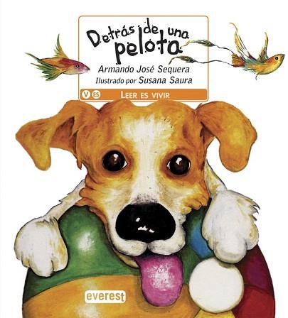 DETRÁS DE UNA PELOTA | 9788444149240 | ARMANDO JOSÉ SEQUERA | Llibres Parcir | Llibreria Parcir | Llibreria online de Manresa | Comprar llibres en català i castellà online