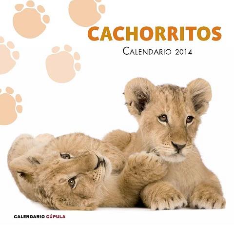 CALENDARIO CACHORRITOS 2014 | 9788448011741 | AA. VV. | Llibres Parcir | Llibreria Parcir | Llibreria online de Manresa | Comprar llibres en català i castellà online