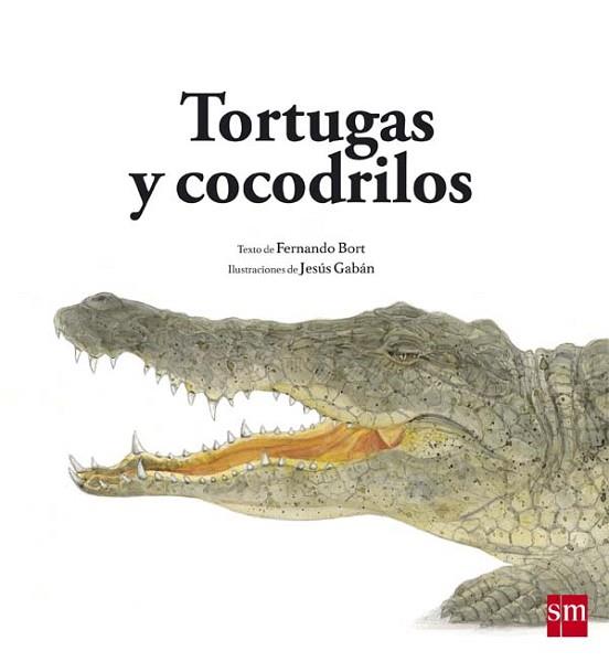 TORTUGAS Y COCODRILOS | 9788467582567 | BORT MISOL, FERNANDO | Llibres Parcir | Llibreria Parcir | Llibreria online de Manresa | Comprar llibres en català i castellà online