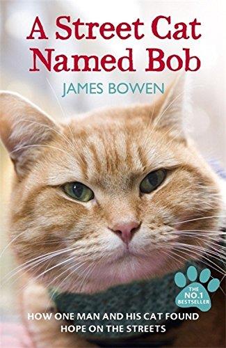 A STREET CAT NAMED BOB | 9781444737110 | JAMES BOWEN | Llibres Parcir | Llibreria Parcir | Llibreria online de Manresa | Comprar llibres en català i castellà online