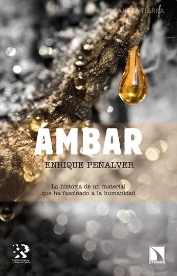 ÁMBAR | 9788483197349 | PEÑALVER, ENRIQUE | Llibres Parcir | Llibreria Parcir | Llibreria online de Manresa | Comprar llibres en català i castellà online