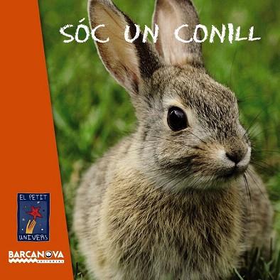 SÓC UN CONILL | 9788448932770 | EQUIP BARCANOVA | Llibres Parcir | Llibreria Parcir | Llibreria online de Manresa | Comprar llibres en català i castellà online