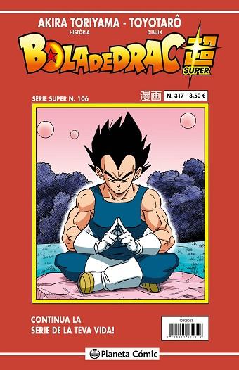 BOLA DE DRAC SERIE VERMELLA N. 317 | 9788411616591 | TORIYAMA, AKIRA | Llibres Parcir | Llibreria Parcir | Llibreria online de Manresa | Comprar llibres en català i castellà online