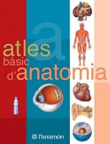 ATLES BASIC D' ANATOMIA | 9788434223134 | Llibres Parcir | Llibreria Parcir | Llibreria online de Manresa | Comprar llibres en català i castellà online