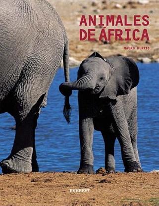 ANIMALES DE AFRICA | 9788424185053 | BURZIO | Llibres Parcir | Llibreria Parcir | Llibreria online de Manresa | Comprar llibres en català i castellà online