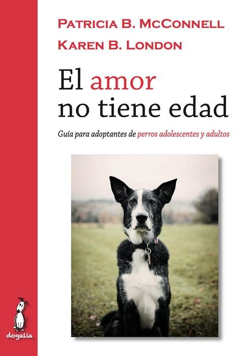 EL AMOR NO TIENE EDAD (GUIA PARA ADOPTANTES DE PERROS ADOLESCENTES Y ADULTOS) | 9788494290022 | A.A.V.V. | Llibres Parcir | Llibreria Parcir | Llibreria online de Manresa | Comprar llibres en català i castellà online