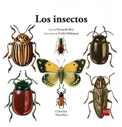 LOS INSECTOS | 9788467577617 | BORT MISOL, FERNANDO | Llibres Parcir | Llibreria Parcir | Llibreria online de Manresa | Comprar llibres en català i castellà online