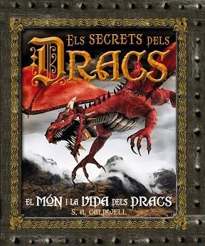 ELS SECRETS DELS DRACS | 9788480169967 | Llibres Parcir | Llibreria Parcir | Llibreria online de Manresa | Comprar llibres en català i castellà online