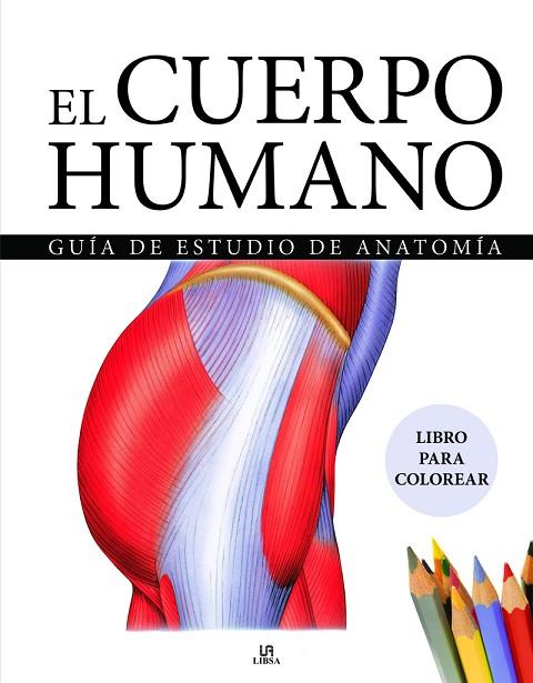 EL CUERPO HUMANO | 9788466243940 | EQUIPO EDITORIAL AMBER BOOKS | Llibres Parcir | Llibreria Parcir | Llibreria online de Manresa | Comprar llibres en català i castellà online