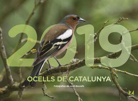 2019 OCELLS DE CATALUNYA | 9788409035465 | MAPZINE | Llibres Parcir | Llibreria Parcir | Llibreria online de Manresa | Comprar llibres en català i castellà online