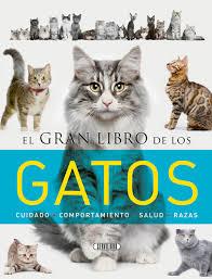 EL GRAN LIBRO DE LOS GATOS. CUIDADO/COMPORT./SALUD/RAZAS | 9788490050842 | CREABOOKS PACKAGERS | Llibres Parcir | Llibreria Parcir | Llibreria online de Manresa | Comprar llibres en català i castellà online