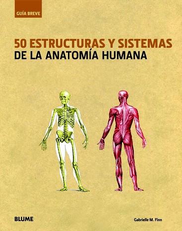 GUÍA BREVE. 50 ESTRUCTURAS Y SISTEMAS DE LA ANATOMÍA HUMANA | 9788498016345 | FINN, GABRIELLE M. | Llibres Parcir | Llibreria Parcir | Llibreria online de Manresa | Comprar llibres en català i castellà online