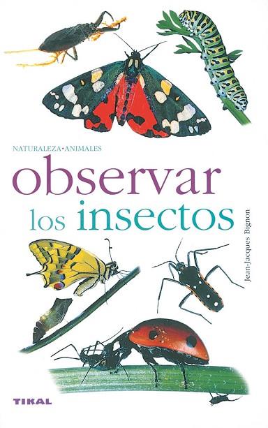 OBSERVAR LOS INSECTOS | 9788430553334 | BIGNON, JEAN-JACQUES | Llibres Parcir | Llibreria Parcir | Llibreria online de Manresa | Comprar llibres en català i castellà online