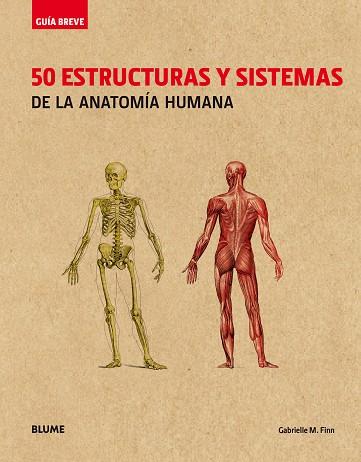 GUÍA BREVE. 50 ESTRUCTURAS Y SISTEMAS DE LA ANATOMÍA HUMANA (RÚSTICA) | 9788417056056 | FINN, GABRIELLE M. | Llibres Parcir | Llibreria Parcir | Llibreria online de Manresa | Comprar llibres en català i castellà online