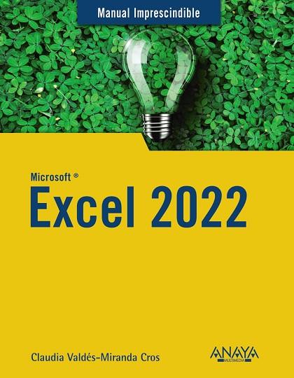 EXCEL 2022 | 9788441545182 | VALDÉS-MIRANDA, CLAUDIA | Llibres Parcir | Llibreria Parcir | Llibreria online de Manresa | Comprar llibres en català i castellà online