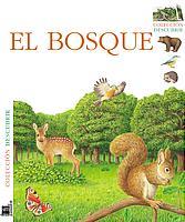 BOSQUE COL, DESCUBRIR | 9788434885196 | Llibres Parcir | Llibreria Parcir | Llibreria online de Manresa | Comprar llibres en català i castellà online