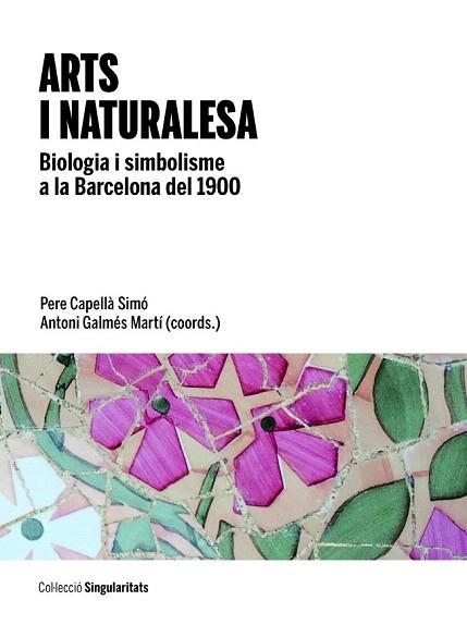 ARTS I NATURALESA | 9788447538751 | VARIOS AUTORES | Llibres Parcir | Llibreria Parcir | Llibreria online de Manresa | Comprar llibres en català i castellà online