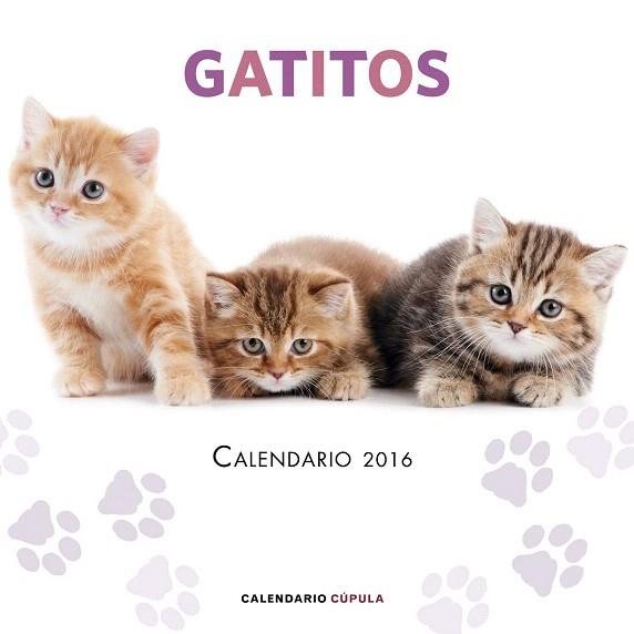 CALENDARIO GATITOS 2016 | 9788448021719 | AA. VV. | Llibres Parcir | Llibreria Parcir | Llibreria online de Manresa | Comprar llibres en català i castellà online