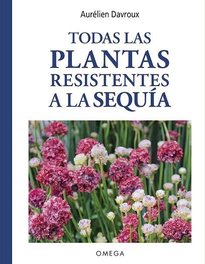 TODAS LAS PLANTAS RESISTENTES A LA SEQUÍA | 9788428217620 | DAVROUX, AURÉLIEN | Llibres Parcir | Llibreria Parcir | Llibreria online de Manresa | Comprar llibres en català i castellà online