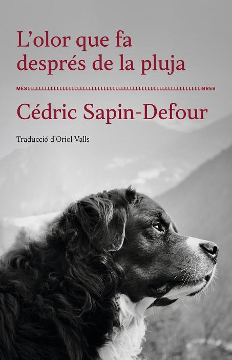 L'OLOR QUE FA DESPRÉS DE LA PLUJA | 9788417353568 | CÉDRIC SAPIN-DEFOUR | Llibres Parcir | Llibreria Parcir | Llibreria online de Manresa | Comprar llibres en català i castellà online