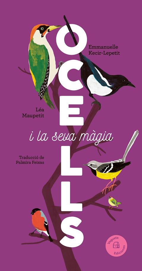 OCELLS | 9788419794376 | KECIR-LEPETIT, EMMANUELLE | Llibres Parcir | Llibreria Parcir | Llibreria online de Manresa | Comprar llibres en català i castellà online