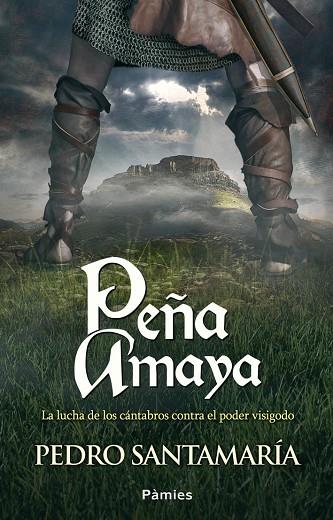 PEÑA AMAYA | 9788415433439 | SANTAMARÍA FERNÁNDEZ, PEDRO | Llibres Parcir | Llibreria Parcir | Llibreria online de Manresa | Comprar llibres en català i castellà online