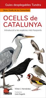 OCELLS DE CATALUNYA (CAT) | 9788419624864 | VICTOR J HERNANDEZ | Llibres Parcir | Llibreria Parcir | Llibreria online de Manresa | Comprar llibres en català i castellà online