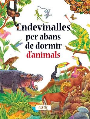 ENDEVINALLES PER ABANS DE DORMIR D ANIMALS | 9788447440597 | SILVIA DUBOVOY | Llibres Parcir | Llibreria Parcir | Llibreria online de Manresa | Comprar llibres en català i castellà online