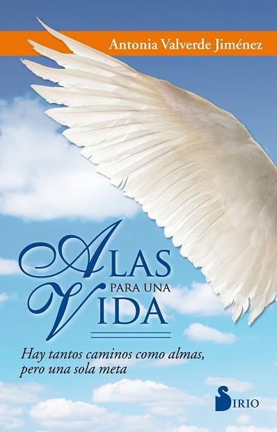 ALAS PARA UNA VIDA | 9788416579761 | VALVERDE JIMÉNEZ, ANTONIA | Llibres Parcir | Llibreria Parcir | Llibreria online de Manresa | Comprar llibres en català i castellà online