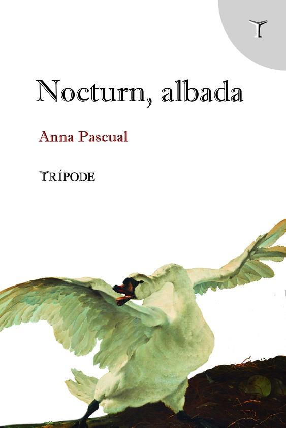 NOCTURN, ALBADA | 9788412817997 | PASCUAL VALL, ANNA | Llibres Parcir | Llibreria Parcir | Llibreria online de Manresa | Comprar llibres en català i castellà online