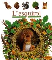 L'ESQUIROL | 9788482865836 | Llibres Parcir | Llibreria Parcir | Llibreria online de Manresa | Comprar llibres en català i castellà online