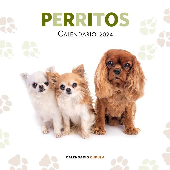 CALENDARIO PERRITOS 2024 | 9788448038069 | AA. VV. | Llibres Parcir | Llibreria Parcir | Llibreria online de Manresa | Comprar llibres en català i castellà online