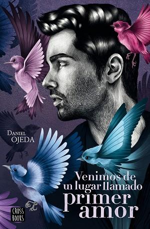 VENIMOS DE UN LUGAR LLAMADO PRIMER AMOR | 9788408224877 | OJEDA CHECA, DANIEL | Llibres Parcir | Llibreria Parcir | Llibreria online de Manresa | Comprar llibres en català i castellà online