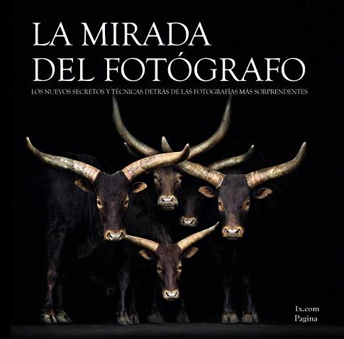 LA MIRADA DEL FOTÓGRAFO | 9788441534254 | 1X.COM | Llibres Parcir | Llibreria Parcir | Llibreria online de Manresa | Comprar llibres en català i castellà online