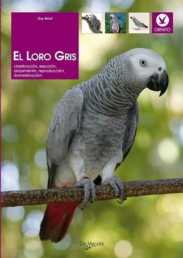 EL LORO GRIS | 9788431529437 | BARAT GUY | Llibres Parcir | Llibreria Parcir | Llibreria online de Manresa | Comprar llibres en català i castellà online