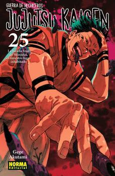 JUJUTSU KAISEN 25 | 9788467971743 | AKUTAMI, GEGE | Llibres Parcir | Llibreria Parcir | Llibreria online de Manresa | Comprar llibres en català i castellà online